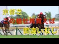 【競馬】京都芝でプラスになる種牡馬でボロ儲け!?【競馬検証】