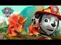 Pups save Dino Wilds from a volcano eruption and more! | PAW Patrol | Cartoons for Kids Compilation