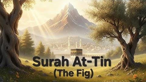 At Tin Surat | Surah At Tin English Translation | Surah Tin سورة التين (95) | The Fig