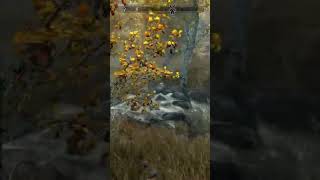 to get lucky! #skyrim #skyrimtogether #gaming #gamingshorts #videogames #multiplayer #mods #games