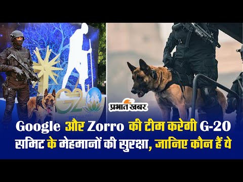 Google और Zorro की टीम करेगी G-20 समिट के मेहमानों की सुरक्षा, जानिए कौन हैं ये