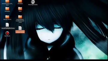 How to install the Dolphin Emulator on Ubuntu 12.04