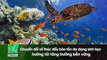 Chuyển đổi số thúc đẩy bảo tồn đa dạng sinh học hướng tới tăng trưởng bền vững