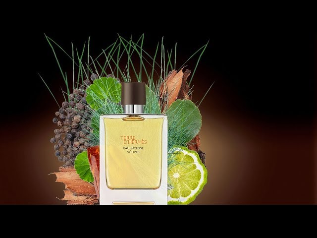 Terre D'Hermes Eau Intense Vetiver (2018) - YouTube