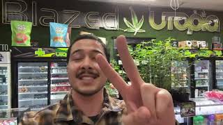 BLAZED UTOPIA SAN JACINTO