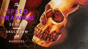 Touch & copic markers speed drawing timelapse - skull jaw