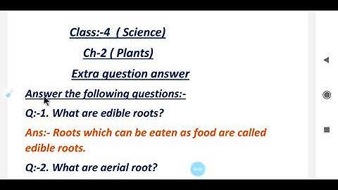 class-4 science, ch 2  Extra question answer