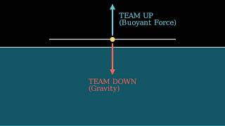 What is buoyancy? (3rd grade science)