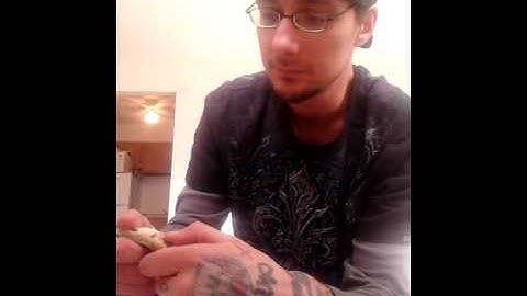 How to properly sex (pop) your ball python