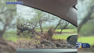 LaLa Hurricane in Hawaii