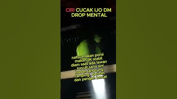 ciri cucak ijo drop mental  #cucakijo #lovebirds #muraibatu