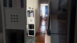 30-79 33 st #3D