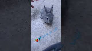 انتي خل بوصايه    سمعها