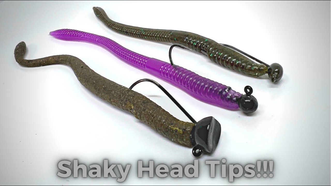 Shaky Head Tip That Will Catch You More Fish! 