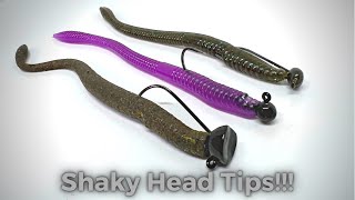 Shaky Head Tip That Will Catch You More Fish!