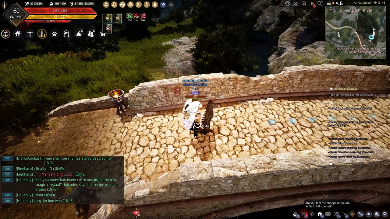 Black Desert Online making t4 Pets YouTube