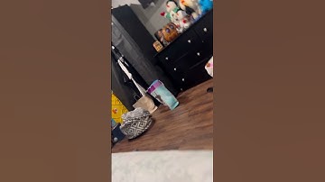 ONN rugged speaker mini start up and shut down ￼