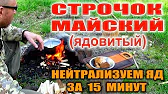 Максим Медведев