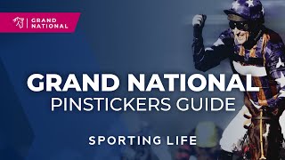 Grand National horse-by-horse guide and tips!