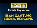 KARAOKE | IKAN GANTUNG KUCING BENGONG (Female Key Version | Chorus Repeat 2X)