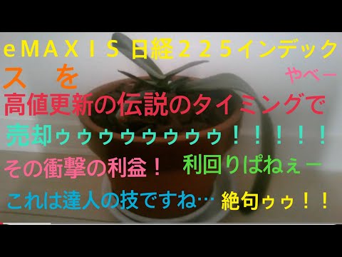 ｅＭＡＸＩＳ 日経２２５インデックスを➕の伝説のタイミングで売却ゥ！その衝撃の利回り！#つみたてnisa #日経平均株価 #自民党#円安#物価高#底辺youtuber #チャンネル登録者20人目標