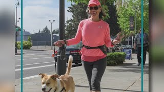 Annual Walk/Run for the Animals back with social distancing