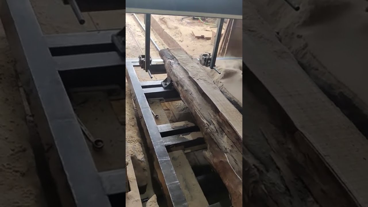 Teak Wood || Benin || Round log || Saw mill cutting || Teak wood plank