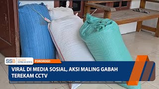 Download Lagu PONOROGO - Viral Di Media Sosial, Aksi Maling Gabah Terekam Cctv MP3