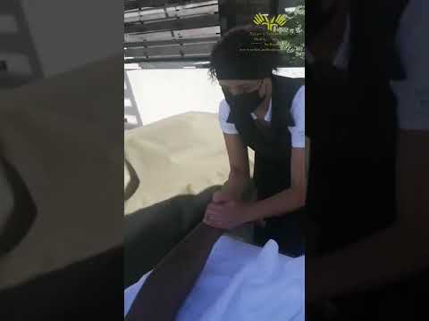 Exotic Massage: Your Private Oasis Of Calm