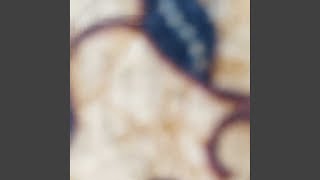 Sunyai