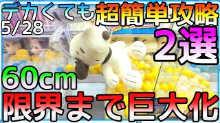 Grow to the limit! Two super easy ways to conquer a massive 60cm stuffed animal in ROUND 1!