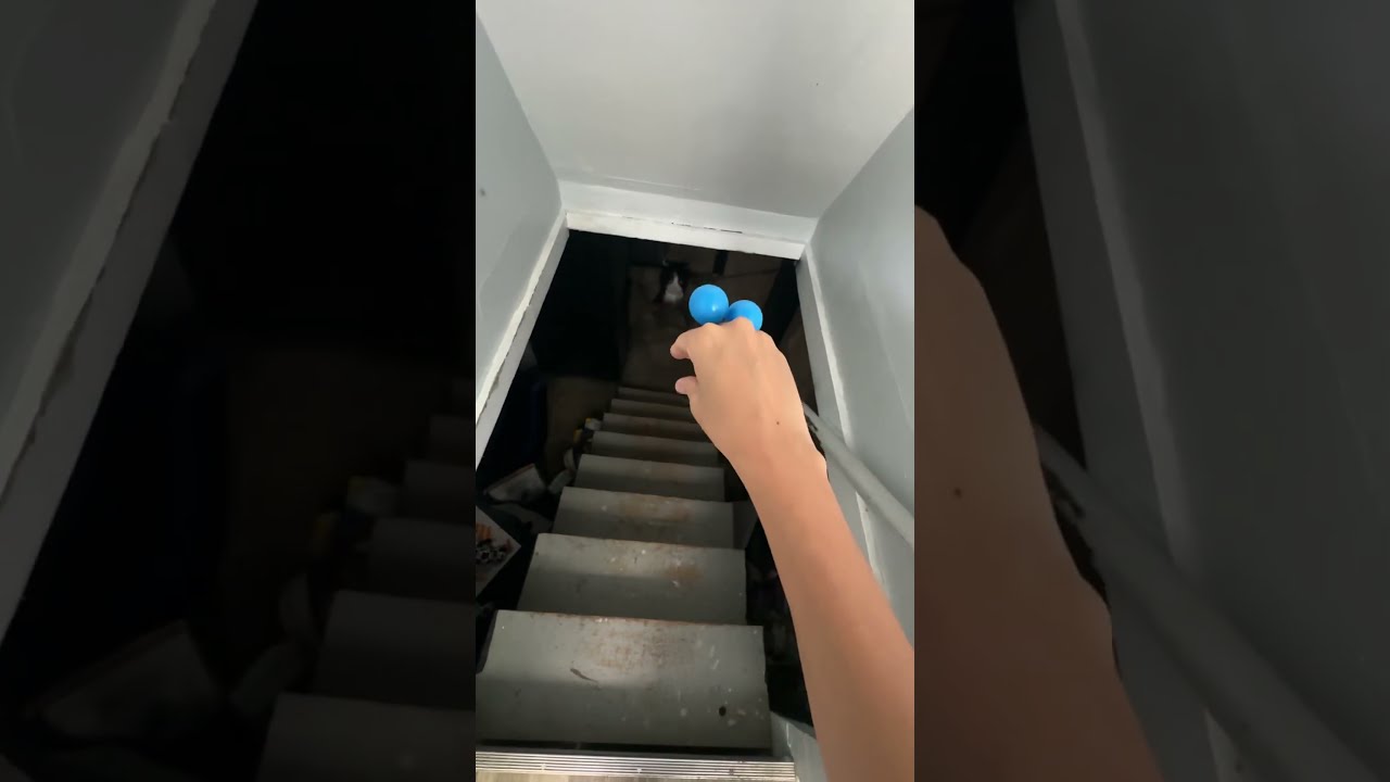 Don T Go To The Basement At 3am 