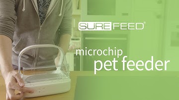 Setting Up the SureFeed Microchip Pet Feeder