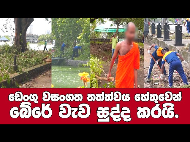 ඩෙංගු වසංගත තත්ත්වය හේතුවෙන් බේරේ වැව සුද්ද කරයි.