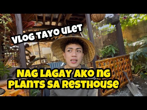 Panibagong Update sa Buhay ni Mark of the Jungle Plants -| Nag lagay ako ng Plants sa Rest-house