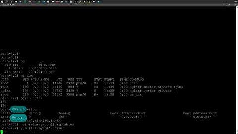 DOCKER | Запуск интерактивных контейнеров | VMware Photon OS 3.0