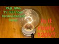 Pql 60w industrial long life incandescent light bulb