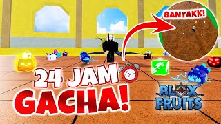 24 JAM GACHA BUAH! Factory dan Buah Spawn Blox Fruits