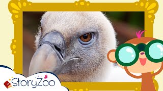 StoryZoo | StoryZoo in The Zoo | Learn About Birds! | Educational Videos for Children