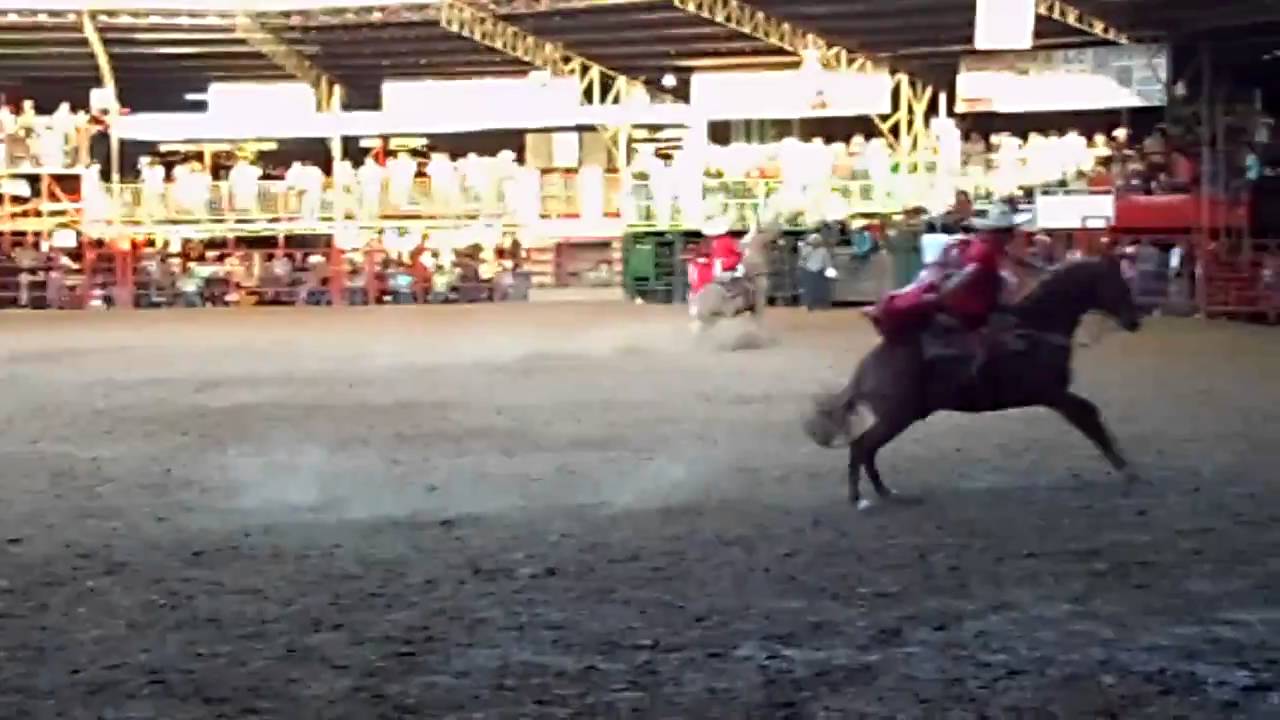 Tina Quiroz's punta Escaramuza Las Rebeldes de Houston, Texas. YouTube