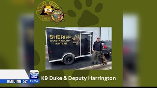Shasta County Sheriff Office welcomes three new K-9 units