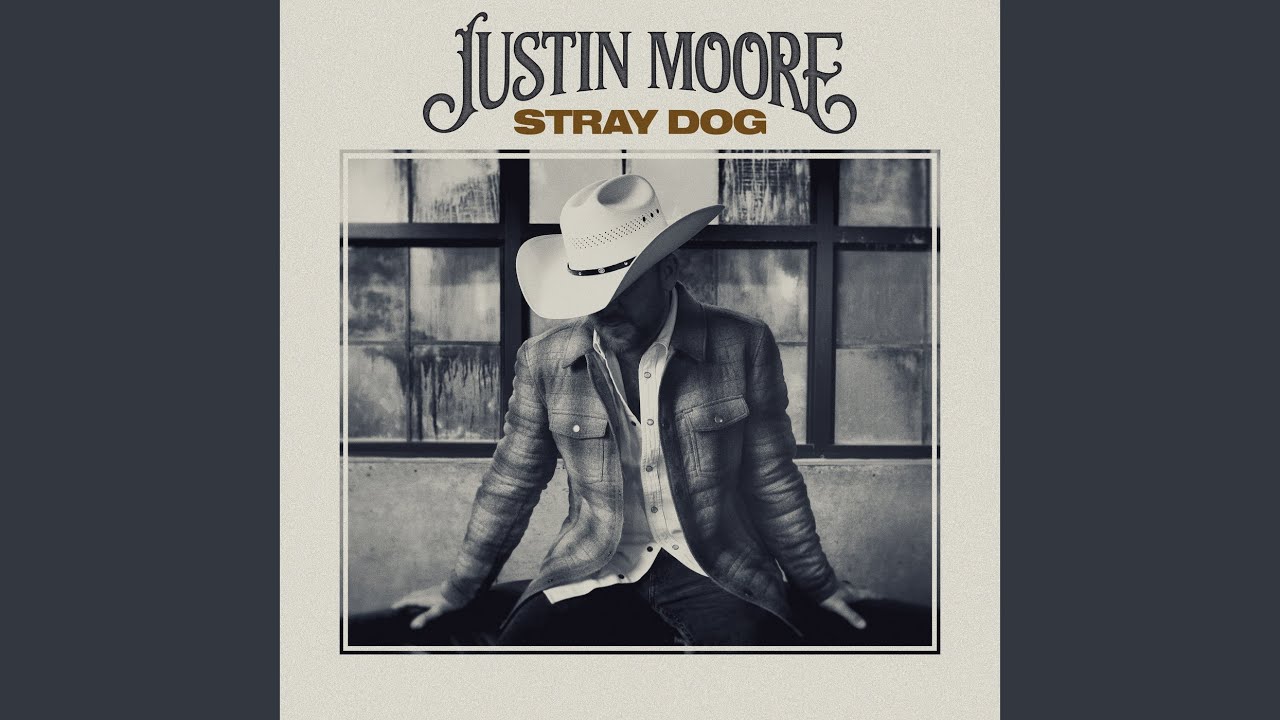 Stray Dogs YouTube Music