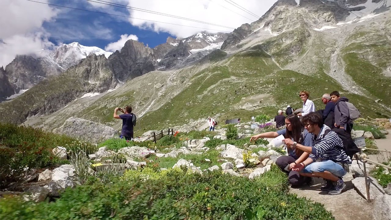 Jardinalp | Benvenuti nei giardini delle Alpi!