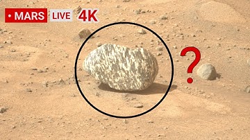 Mars Perseverance Rover Sent Most Remarkable 360° Footage of Mars