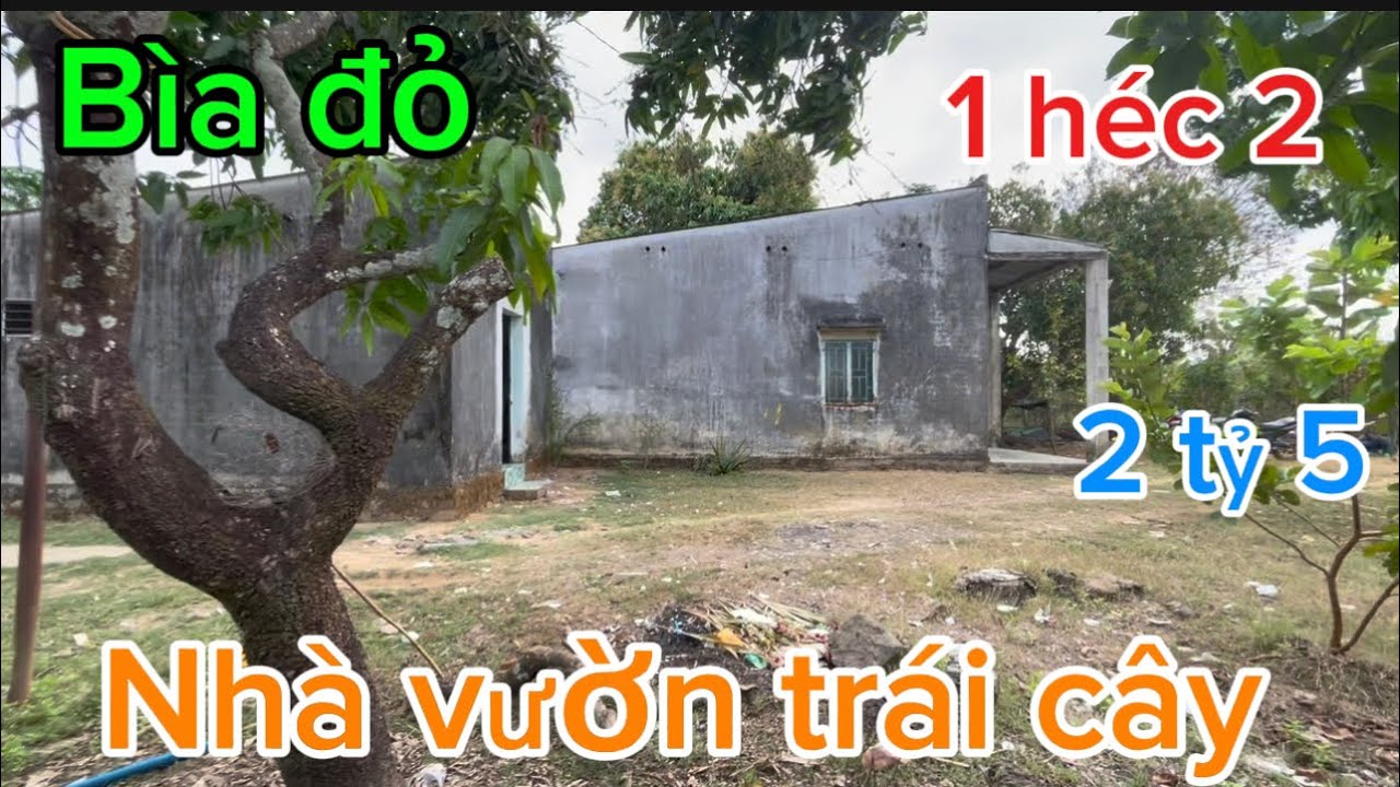 Cần bán 12.000m2 sổ Hồng riêng tại thanh sơn tỉnh đồng Nai có nhà 🏠 vườn trái cây 