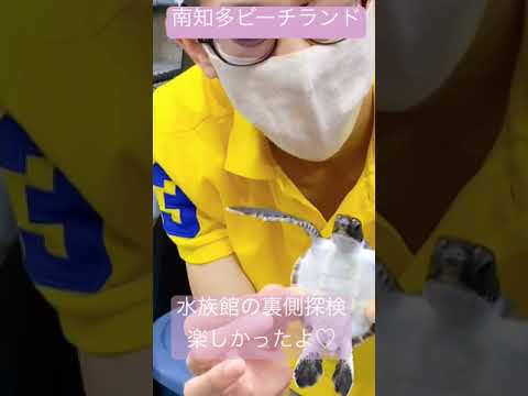 年の差カップル・南知多ビーチランド・水族館の裏側