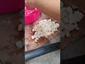 Here's how to cut wild mushrooms using a super sharp mini tool -Agriculture farming #shorts
