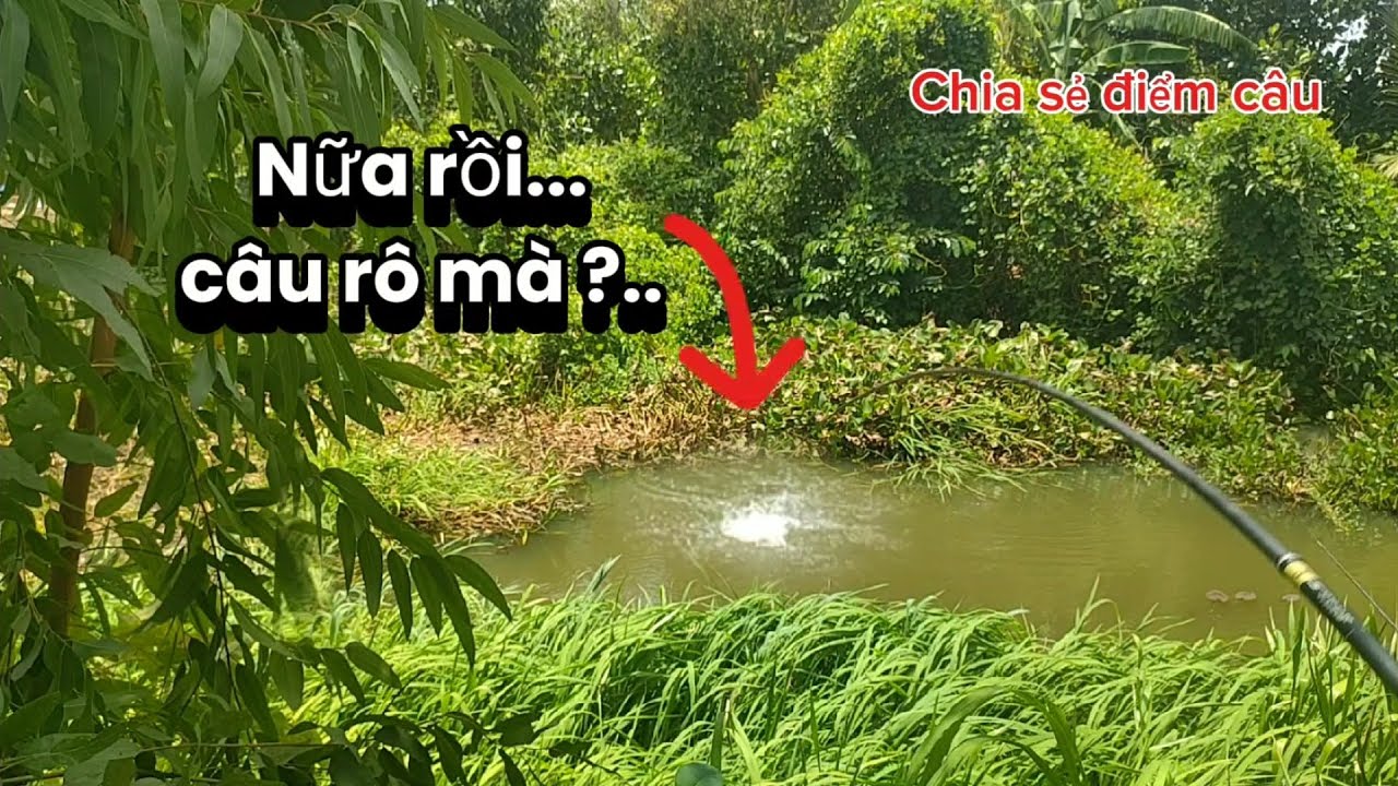Chia sẻ điểm câu/Quéo cần rất là phê.. mà vắng người quá...ớn lạnh.....