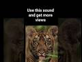 MENTAL TOUGHNESS HABITS #shorts, #viralvideo #mentaltoughness