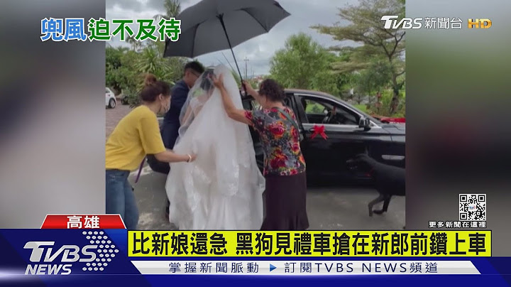 比新娘還急!!黑狗見禮車搶在新郎前鑽上車｜TVBS新聞 - 天天要聞
